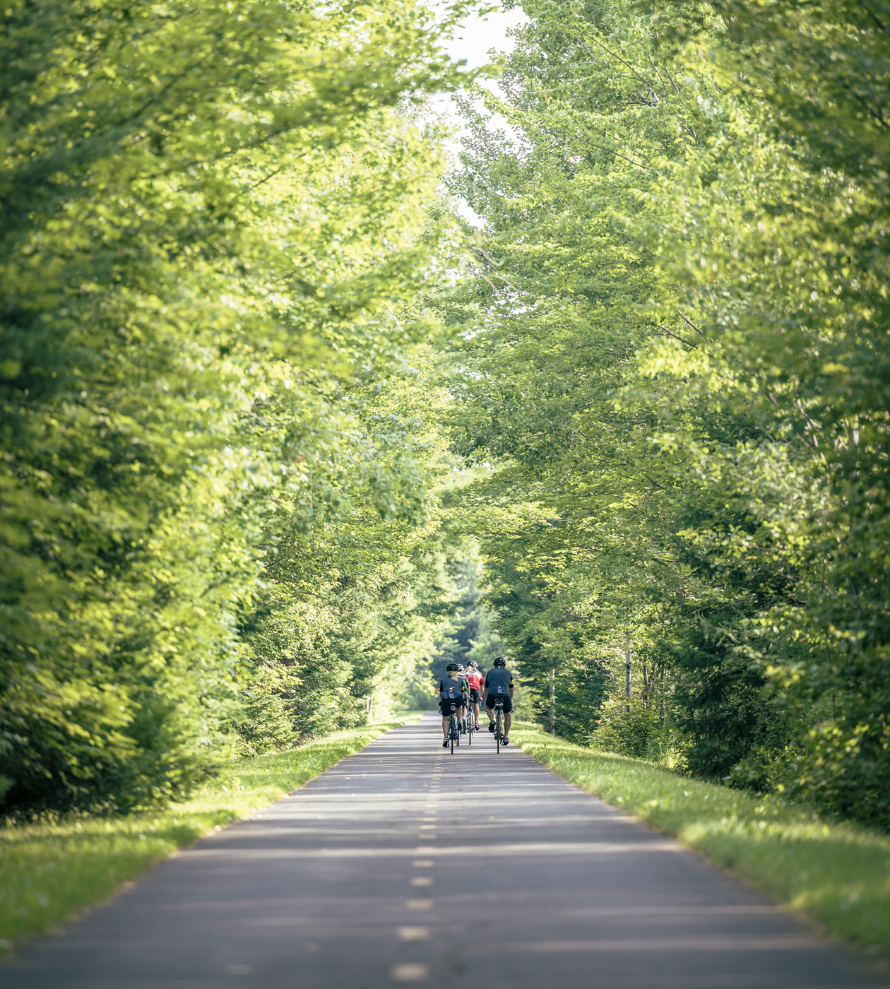 tour velo ville de quebec