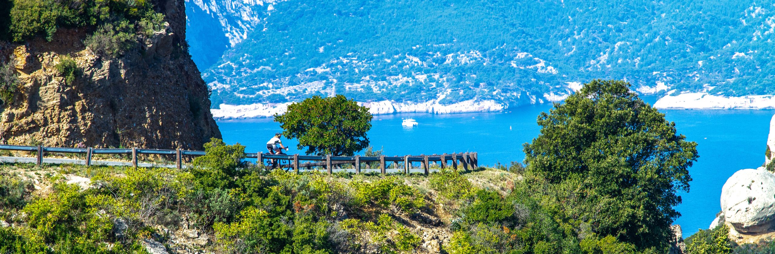 De la Provence des Papes au Luberon – En liberté