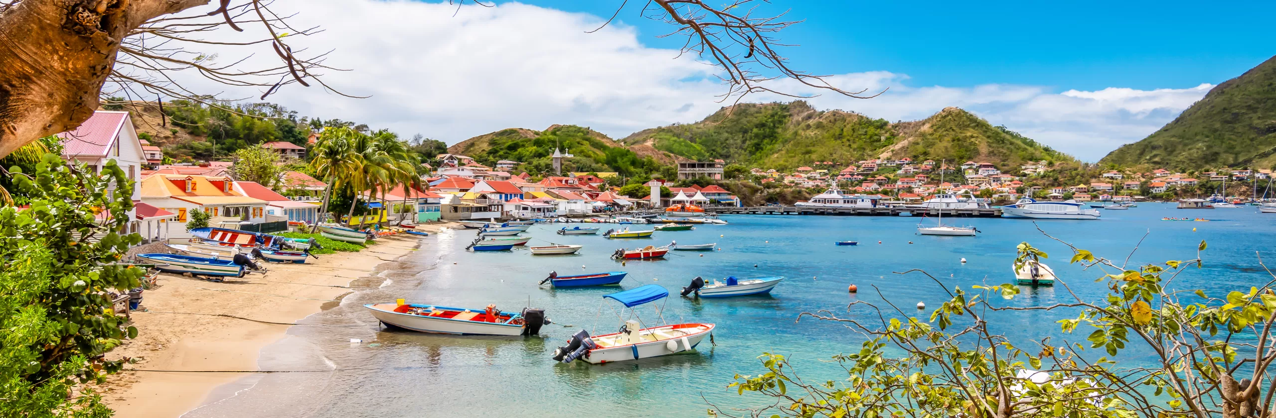 Îles de Guadeloupe – En liberté